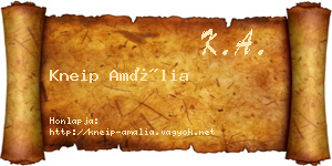 Kneip Amália névjegykártya