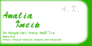 amalia kneip business card